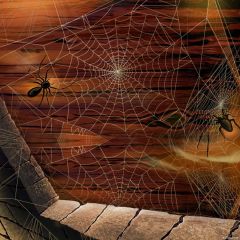 Spider Web Photography Scenery Backdrop Halloween Theme Banner MNH-854