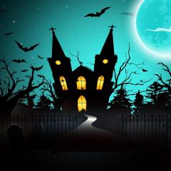 House Bat Photography Scenery Backdrop Halloween Theme Banner MNH-855