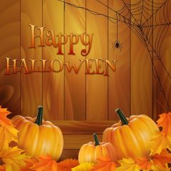 Pumpkin Halloween Photography Scenery Backdrop Halloween Theme Banner MNH-866