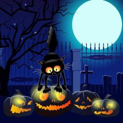 Pumpkin Lamp Moon Photography Scenery Backdrop Halloween Theme Banner MNH-872