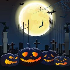 Pumpkin Lamp Moon Photography Scenery Backdrop Halloween Theme Banner MNH-873