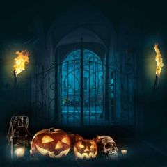 Halloween Pumpkin Lamp Photography Scenery Backdrop Halloween Theme Banner MNH-915