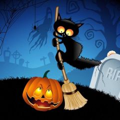 Cat Broom Pumpkin Photography Scenery Backdrop Halloween Theme Banner MNH-924