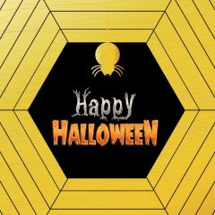 Spider Web Photography Scenery Backdrop Halloween Theme Banner MNH-928