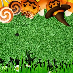 Pumpkin Ghost Grass Photography Scenery Backdrop Halloween Theme Banner MNH-932