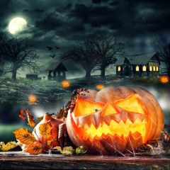 Pumpkin House Tree Bat Photography Scenery Backdrop Halloween Theme Banner MNH-938