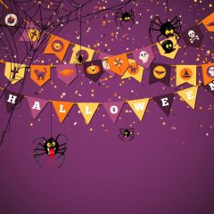 Flag Scary Spider Photography Scenery Backdrop Halloween Theme Banner MNH-940