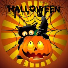 Pumpkin Lanterns Cat Photography Scenery Backdrop Halloween Theme Banner MNH-941