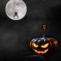 Moon Pumpkin Lantern Photography Scenery Backdrop Halloween Theme Banner MNH-943