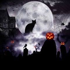 Cat Pumpkin Lantern Spider Web Moon Photography Scenery Backdrop Halloween Theme Banner MNH-964