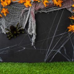 Spider Web Leaves Photography Scenery Backdrop Halloween Theme Banner MNH-966