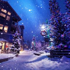 Christmas Snow Light Tree Photography Scenery Backdrop Christmas Theme Banner MNH-973