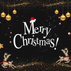 Christmas Belll Hat Photography Scenery Backdrop Christmas Theme Banner MNH-975