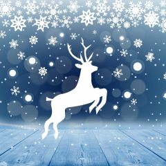 Reindeer Snow Floor Photography Scenery Backdrop Christmas Theme Banner MNH-984