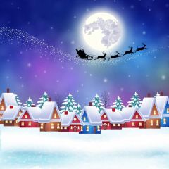 House Snow Tree Reindeer Photography Scenery Backdrop Christmas Theme Banner MNH-986