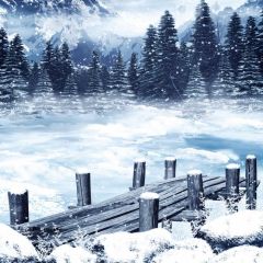 Tree Snow Bridge Photography Scenery Backdrop Christmas Theme Banner MNH-991