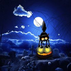 Cat Halloween Pumpkin Lantern Photography Scenery Backdrop Halloween Theme Banner MNH-992