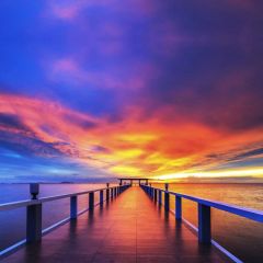 Nature Long Bridge Sky Photography Scenery Backdrop Ocean Theme Banner NTM-130