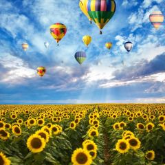 Nature Sun Flower Balloons Photography Scenery Backdrop Nature Theme Banner NTM-159