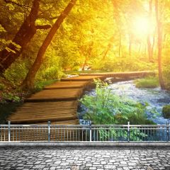 Sun Bridge Rail Forest Photography Scenery Backdrop Forest Theme Banner NTM-160