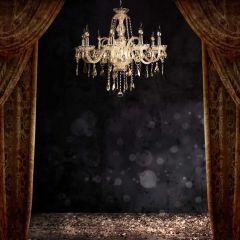 Curtain Light Lighting Spots Photography Scenery Backdrop Indoor Theme Banner NTM-172