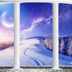 Snow Pillar Cypress Photography Scenery Backdrop Snow Theme Banner NTM-175