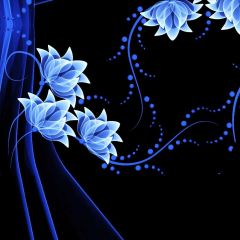 Flower Blue Shining Spots Photography Scenery Backdrop Flowers Theme Banner NTM-198