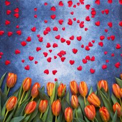 Flower Red Heart Tulip Photography Scenery Backdrop Flowers Theme Banner NTM-204
