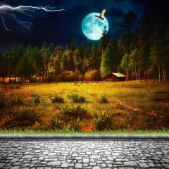 Lightning Forest Full Moon Shack Photography Scenery Backdrop Nature Theme Banner NTM-213