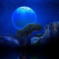 Full Moon Tree Hill Night Photography Scenery Backdrop Night Theme Banner NTM-214