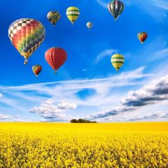 Rape Flower Hot Air Balloon Clouds Photography Scenery Backdrop Flowers Theme Banner NTM-216