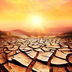 Dry Land Sunlight Hills Photography Scenery Backdrop Nature Theme Banner NTM-217