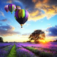 Lavendor Artificial Balloon Sun Photography Scenery Backdrop Flowers Theme Banner NTM-218