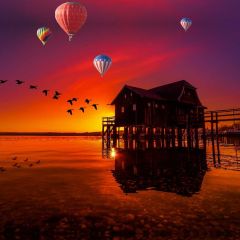 Lake Balloom House Birds Photography Scenery Backdrop Ocean Theme Banner NTM-219