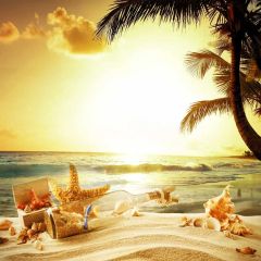 Bottle Palm Tree Shell Waves Photography Scenery Backdrop Ocean Theme Banner NTM-223