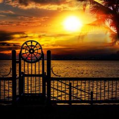 Sunset Door Seasides Photography Scenery Backdrop Ocean Theme Banner NTM-224