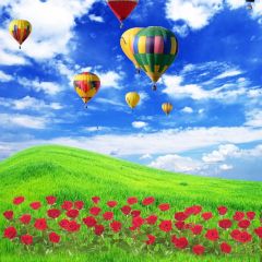 Grassland Hot Air Balloon Rose Photography Scenery Backdrop Nature Theme Banner NTM-257