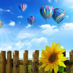 Sunflower Hot Air Balloon Fence Photography Scenery Backdrop Flowers Theme Banner NTM-266
