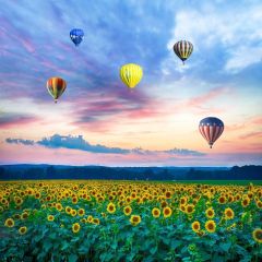 Sunflowers Hot Air Balloon Cloudy Weather Photography Scenery Backdrop Birthday Party Theme Banner NTM-267