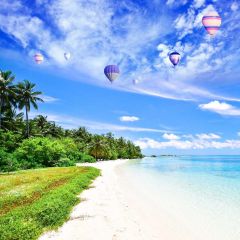 Sea Warm Breeze Tree Photography Scenery Backdrop Ocean Theme Banner NTM-285