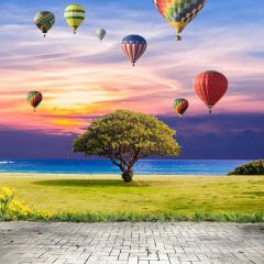 Natureview Balloon Huge Sea Photography Scenery Backdrop Nature Theme Banner NTM-288