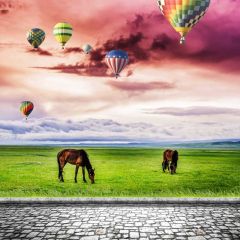 Pasture Steed Stone Flooring Photography Scenery Backdrop Nature Theme Banner NTM-292