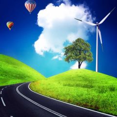 Gaint Tree Windmill Balloon Road Photography Scenery Backdrop Nature Theme Banner NTM-295