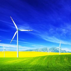 Windmill Rape Flower Blue Sky Photography Scenery Backdrop Nature Theme Banner NTM-296