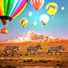 Zebra Balloons High Sky Yellow Grassland Photography Scenery Backdrop Nature Theme Banner NTM-300