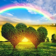 Heart-Shaped Trees Rainbow Grassland Photography Scenery Backdrop Forest Theme Banner NTM-302
