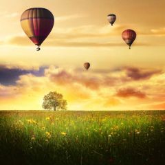 Balloon Grass Branches Photography Scenery Backdrop Nature Theme Banner NTM-308