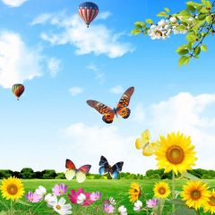 Apple Flower Butterfly Sunflower Photography Scenery Backdrop Flowers Theme Banner NTM-348