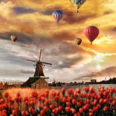 Windmill Tulip Balloons Photography Scenery Backdrop Nature Theme Banner NTM-355