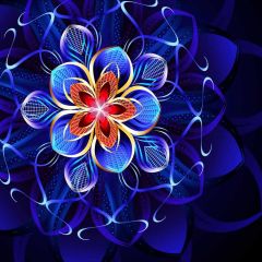 Blue Flower Design Photography Scenery Backdrop Flowers Theme Banner NTM-358